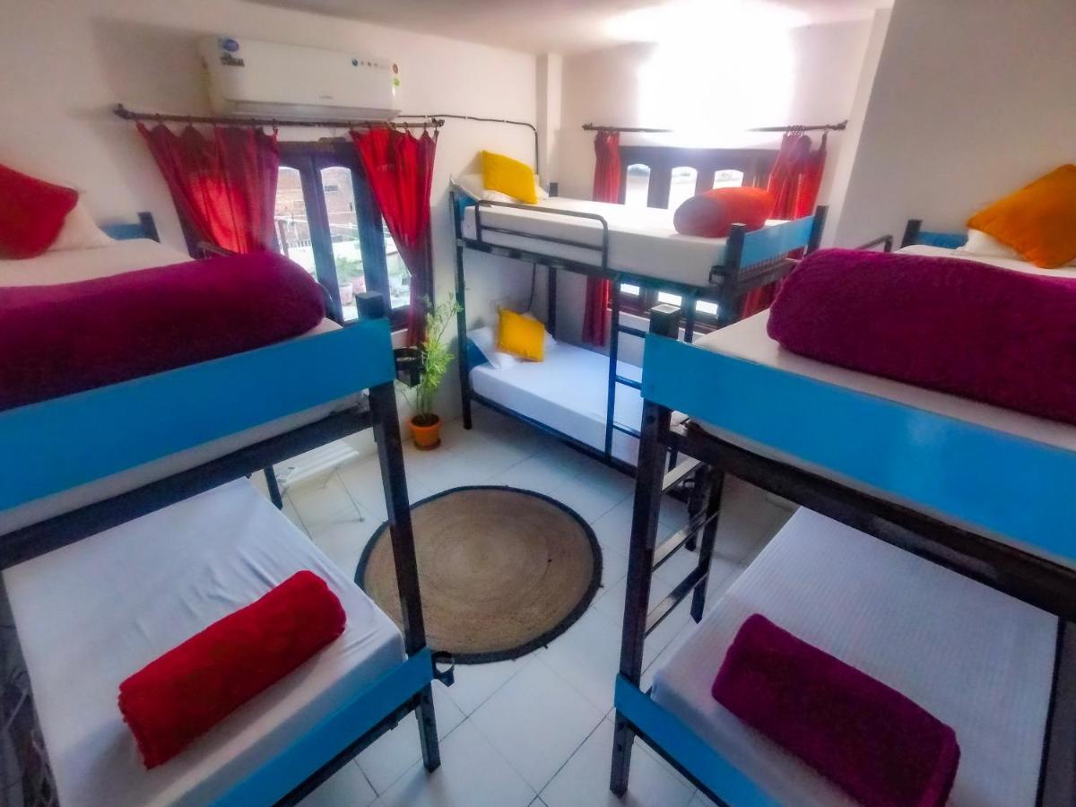 The Hostel Crawl Udaipur Exterior photo